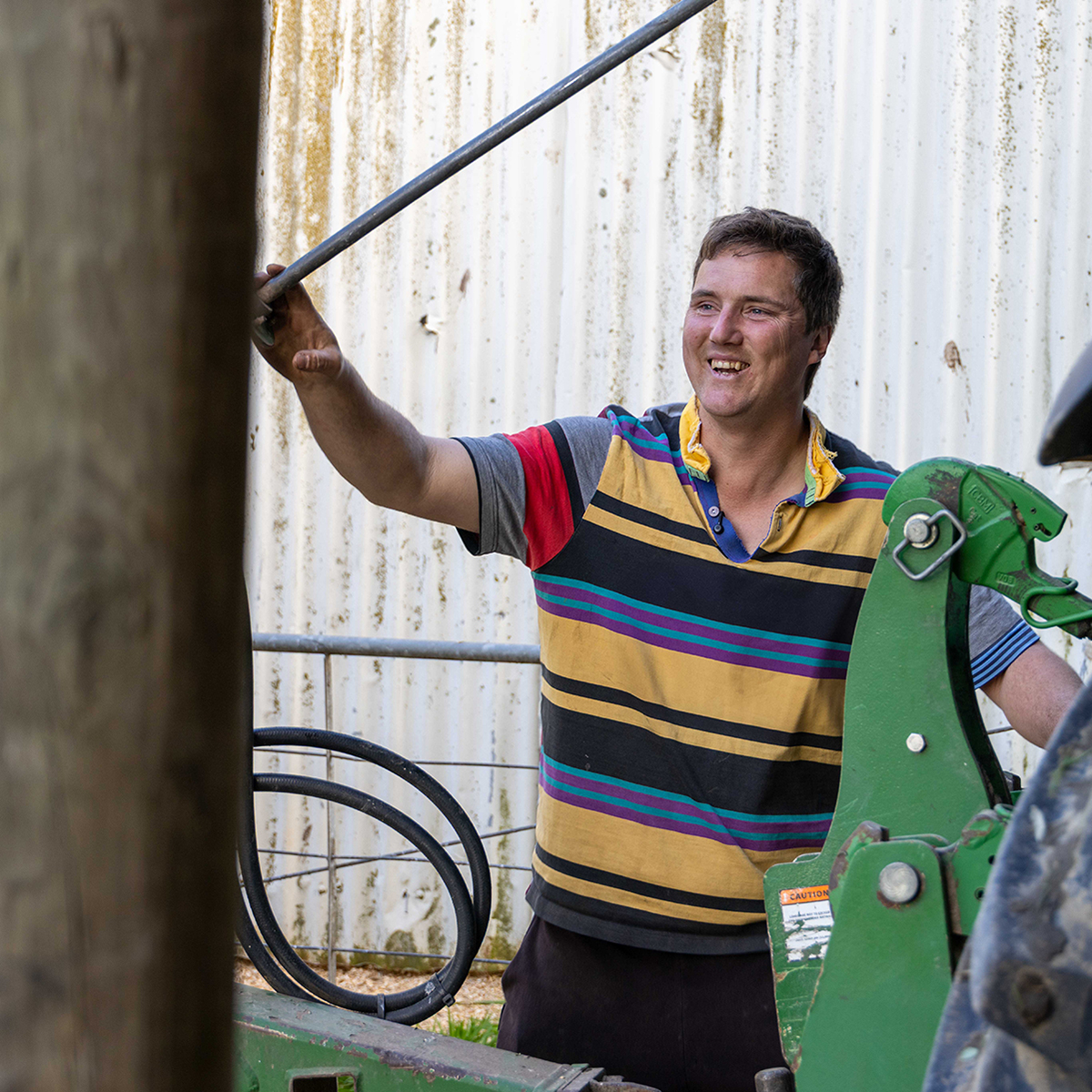 Fintan image on the farm