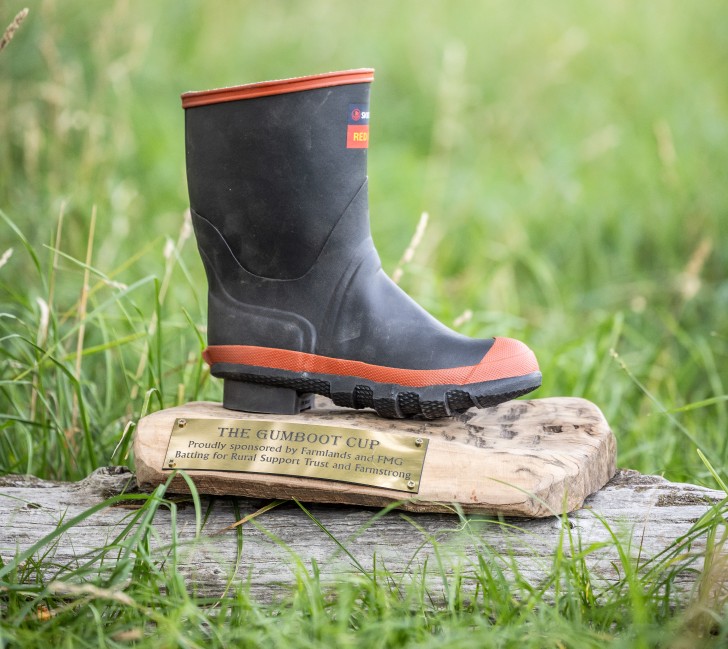 A close-up photo of the Gumboot Cup trophy.