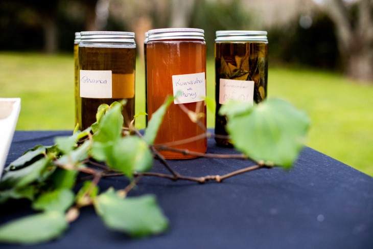 A close-up photo showing herbal remedies used in rongoā Māori healing. 